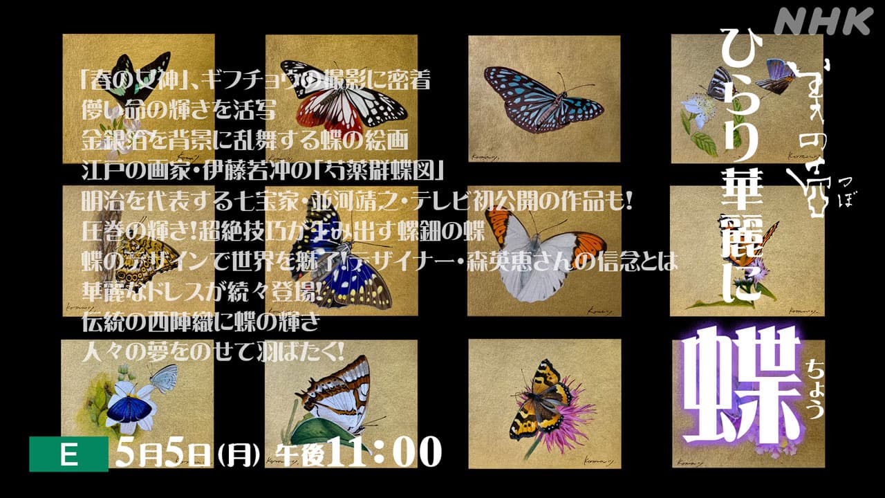 伊藤若冲も「芍薬群蝶図」で描いた蝶！人々の夢をのせて羽ばたく！