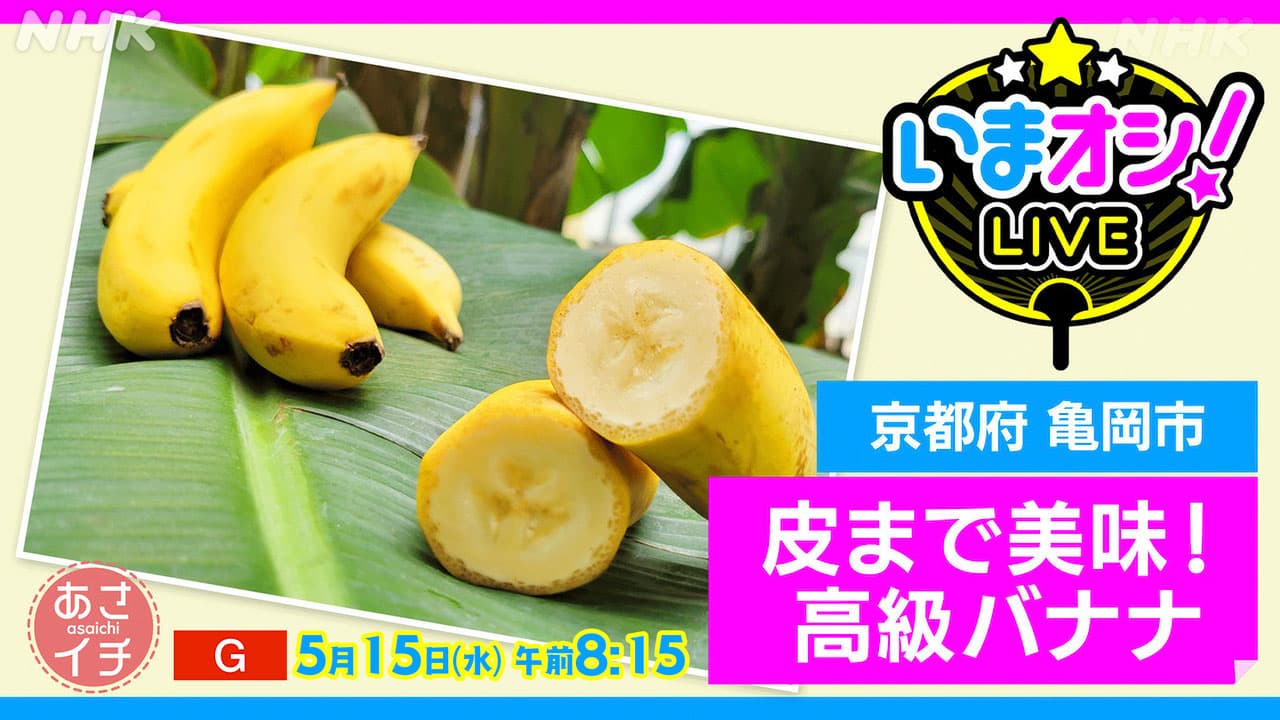 あさイチ【いまオシ！LIVE】京都・亀岡市「超高級バナナ」