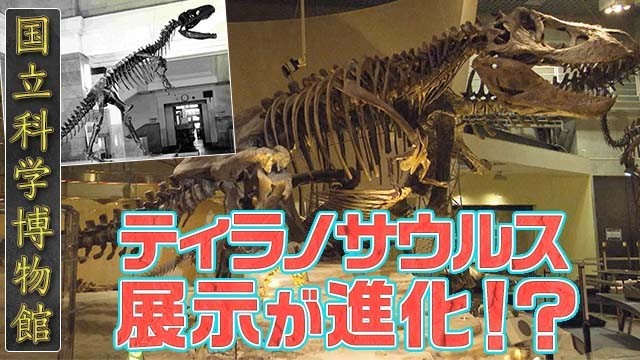 国立科学博物館 ティラノサウルス 展示が進化!?