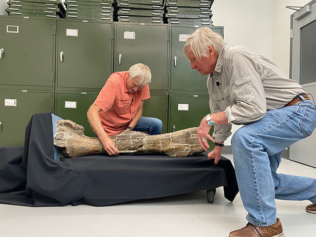 「新生代恐竜」の化石を調べるカリー博士とファセットさん