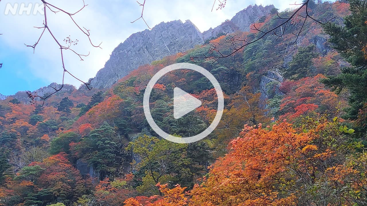 西日本最高峰 石鎚山の紅葉【動画】