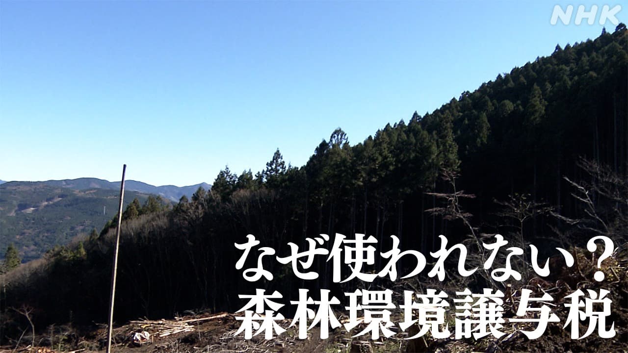 愛媛県では45％が活用されず 「森林環境譲与税」知っていますか？2024年度から1人あたり年間1000円 