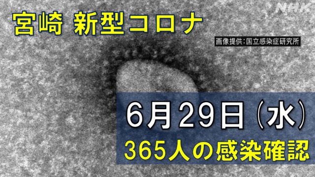 【随時更新】コロナ 宮崎の感染者数や病床使用率（6月29日）