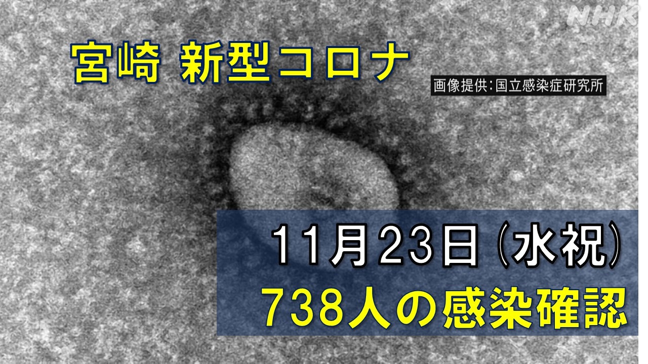 【随時更新】コロナ 宮崎の感染者数や病床使用率（11月23日）