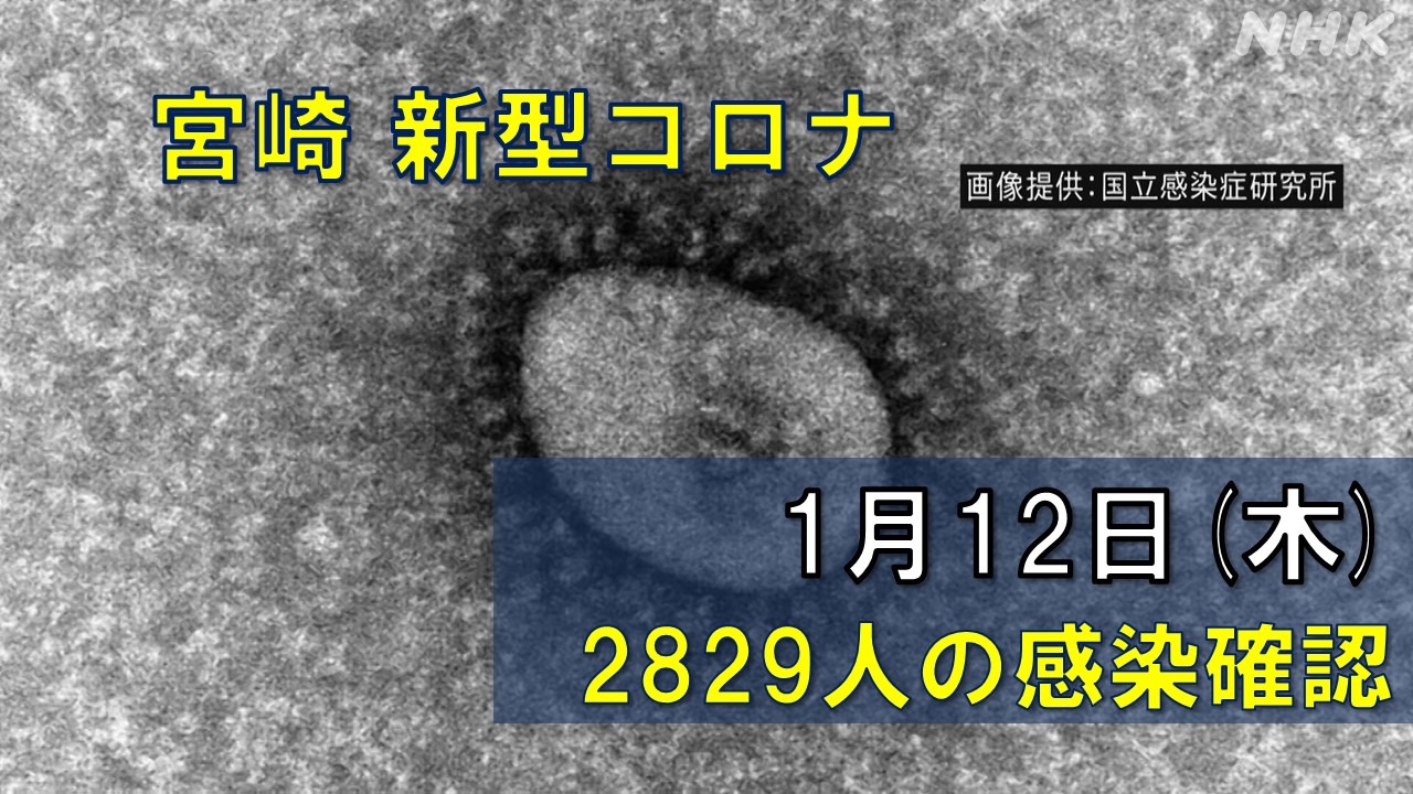 【随時更新】コロナ 宮崎の感染者数や病床使用率（1月12日）