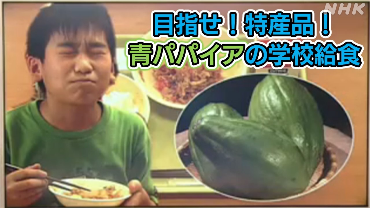 目指せ！宮崎の特産品 JA西都「青パパイア」を学校給食に提供