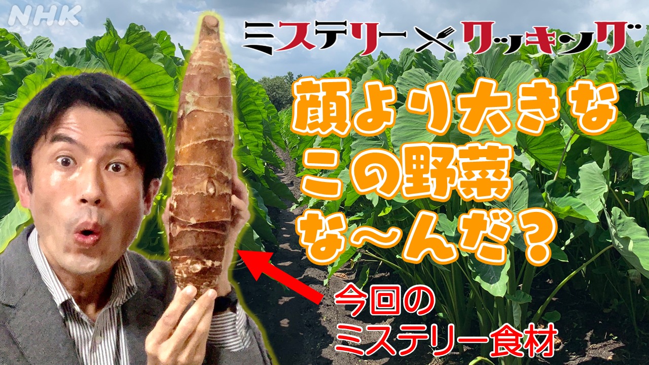 宮崎の「京いも」が石川県へ　新レシピ開発に大学生が活躍！