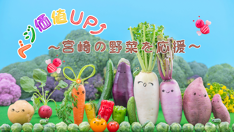 ベジ価値UP 宮崎の有機野菜を応援