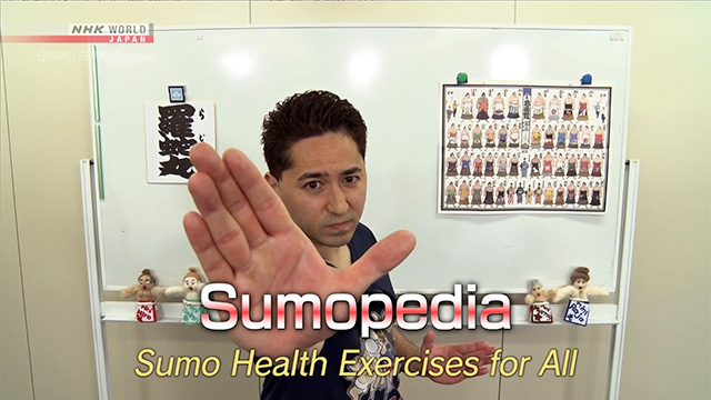 Sumo Health Exercises for All