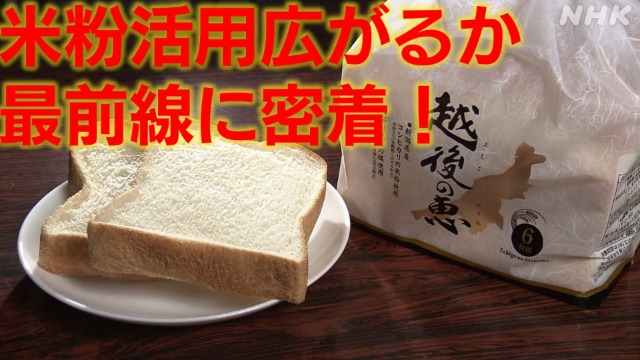 小麦粉高の中、米粉パン定番化へ　新潟県産玄米粉普及挑戦も