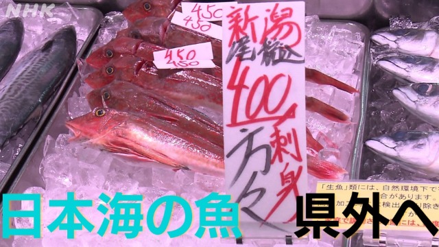 長岡 寺泊発の「魚屋」　創業者の目指す魚食文化振興