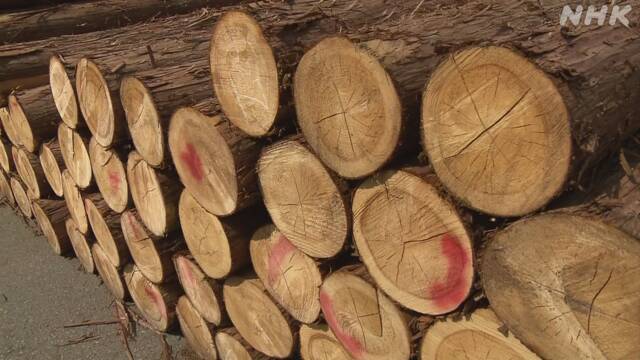 住宅用木材の価格高騰 林野庁が必要以上の買い付け控える要請 | NHK 