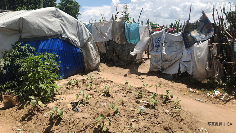 南スーダン国内の避難民キャンプ