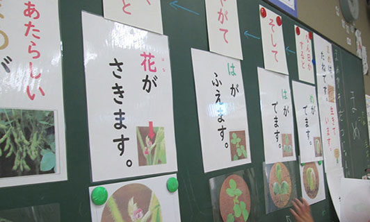繰り返し視聴して体験の空白を補う 特別の教育課程　日本語学習 イメージ