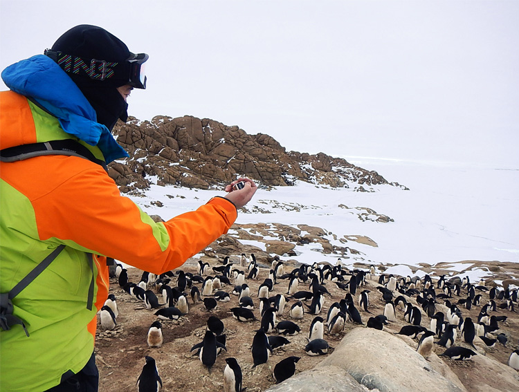 南極調査の様子
