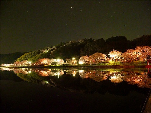 三刀屋川桜夜景