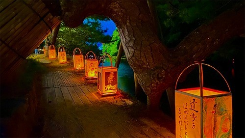 行燈の灯りと巨木トンネル