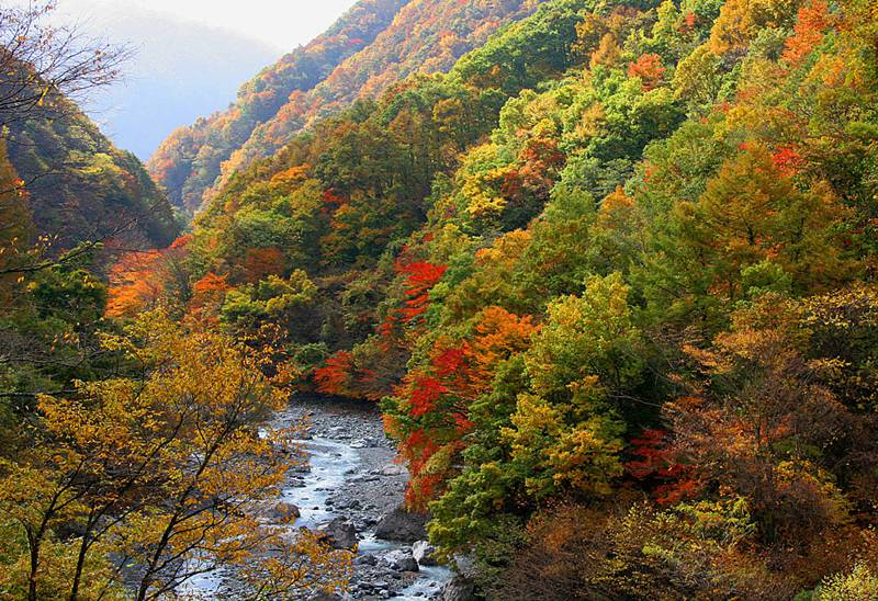 2007/11/05 12:00三峰川上流の秋の景観