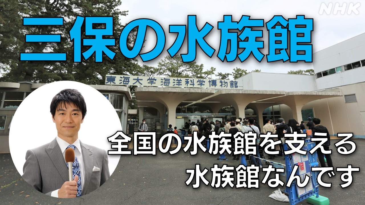 さかなクンも修行した三保の水族館 NHK静岡 田中アナが解説!