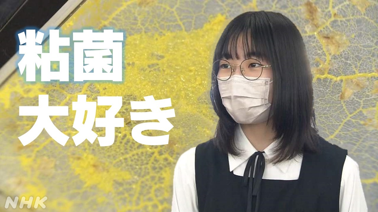 静岡 焼津市の “粘菌少女” 生物学オリンピックを目指す！