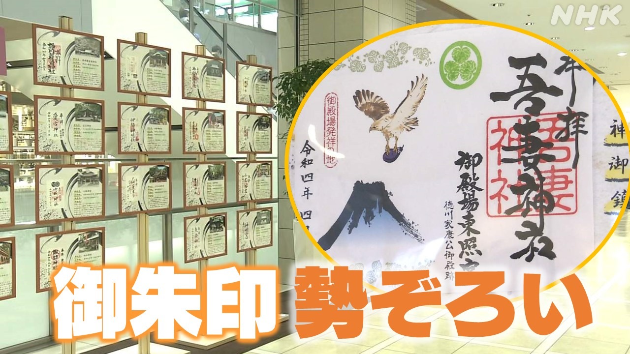 静岡 県内神社の全“御朱印”が一堂に！ 今月16日まで展示