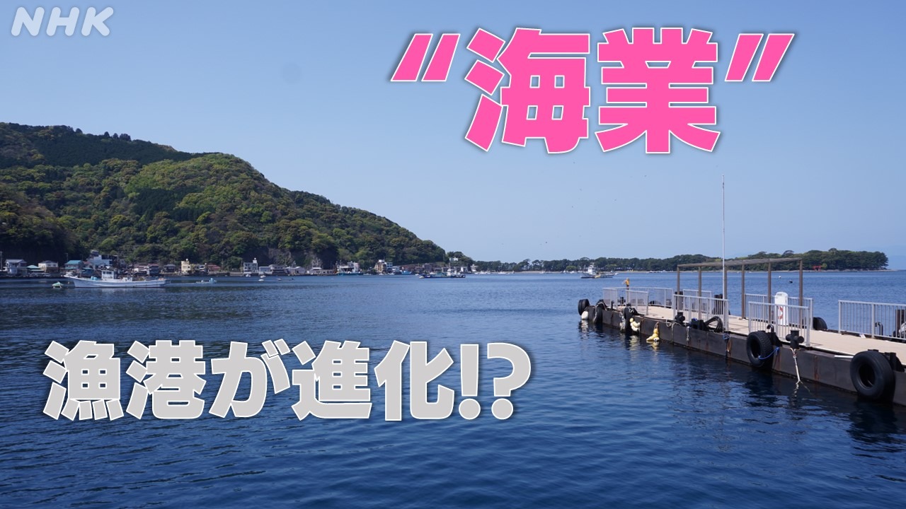 静岡戸田“海業”観光・レジャー・グルメで漁港が進化する？