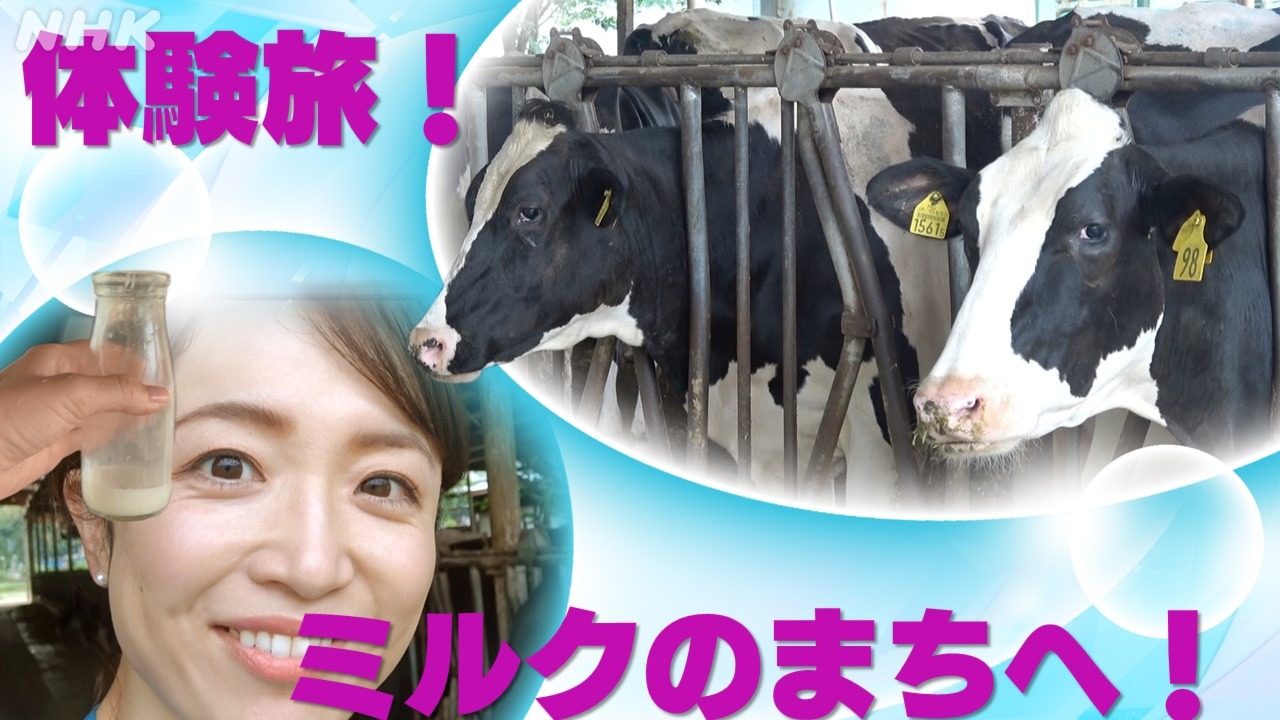 静岡旅　函南町　酪農の町　グルメと牛の乳しぼり体験!