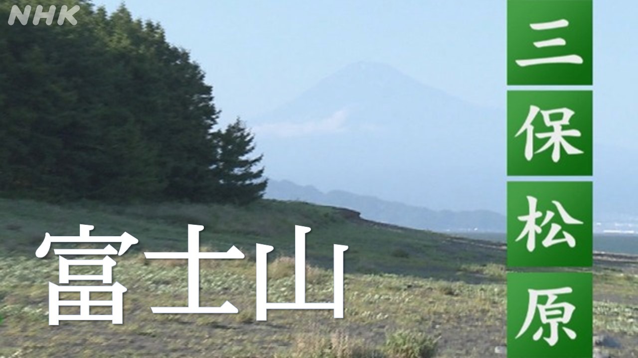 富士山と三保松原 絶景守りたい 20代に密着 世界遺産登録10年