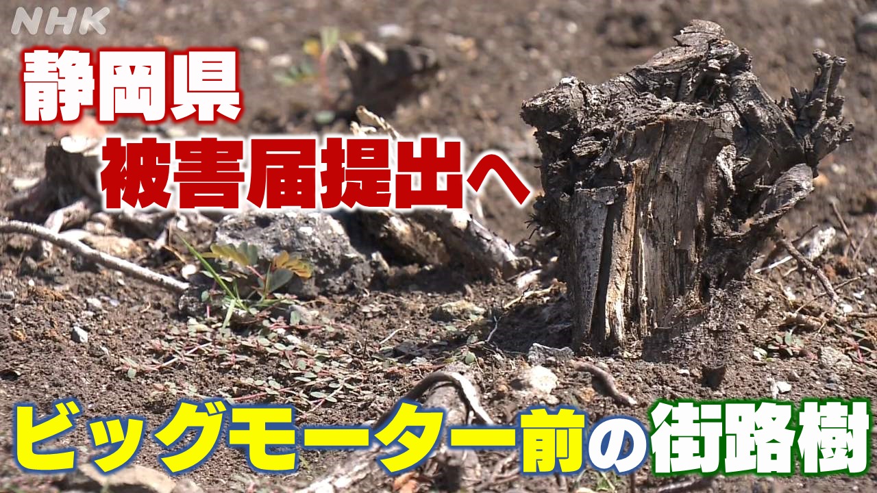 静岡 富士市 ビッグモーター前の街路樹の土から除草剤の成分検出