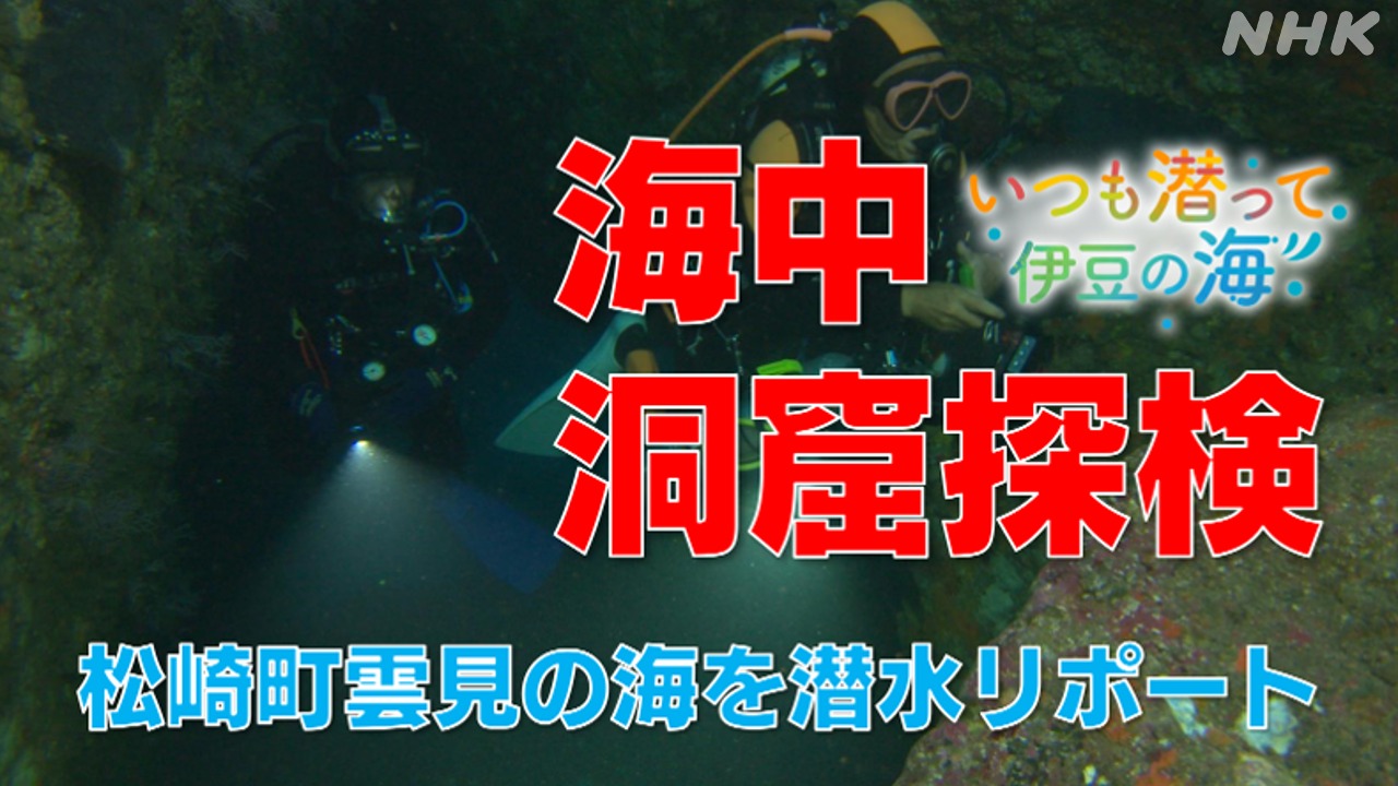 洞窟探検！伊豆・松崎町雲見の海　潜水アナリポート　