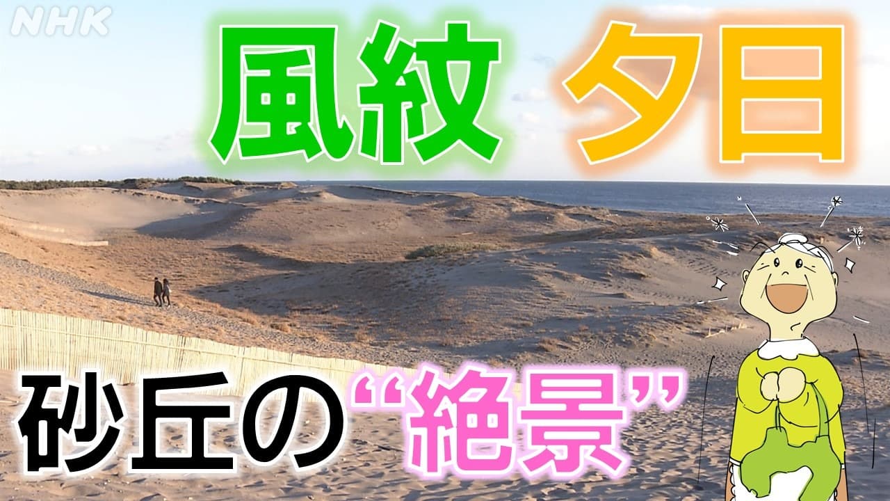 【動画】 静岡浜松 夕暮れの中田島砂丘