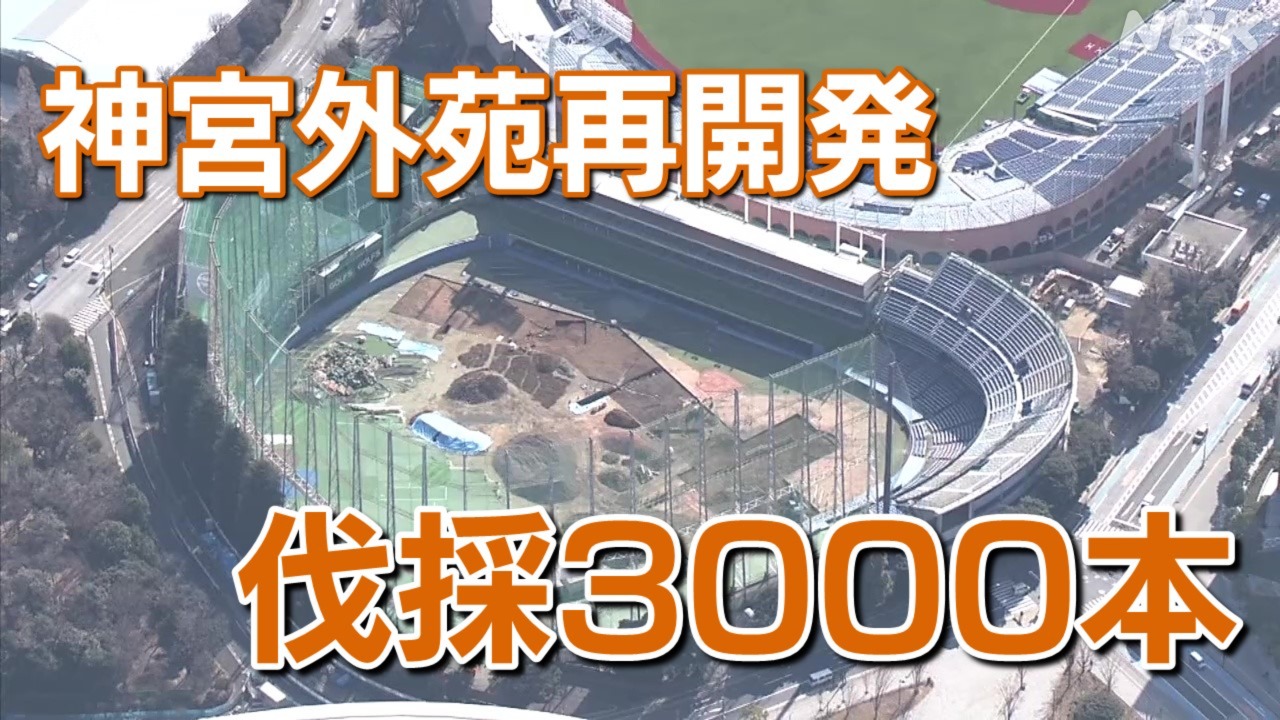 明治神宮外苑再開発 伐採3000本 新宿区のみ低木含め 周辺住民などは | NHK