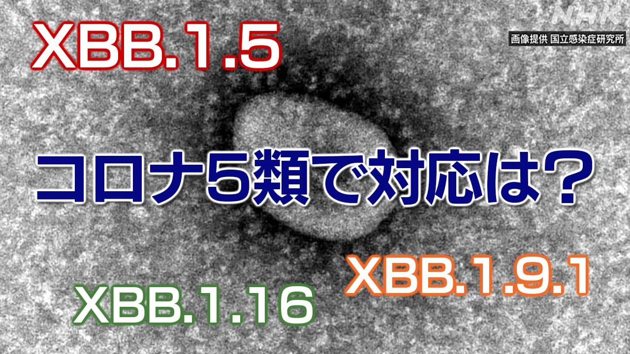コロナ5類 変異ウイルス対応は？ XBB.1.5　XBB.1.9.1　XBB.1.16
