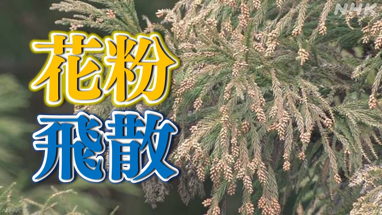 関東地方 花粉の飛散量予測 19日と20日「多い」見込み 18日 21日 22日は「やや多い」か
