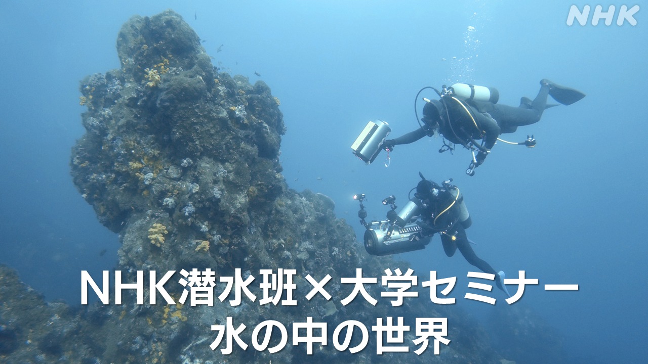 水中撮影の極意 東京海洋大学×NHK潜水班