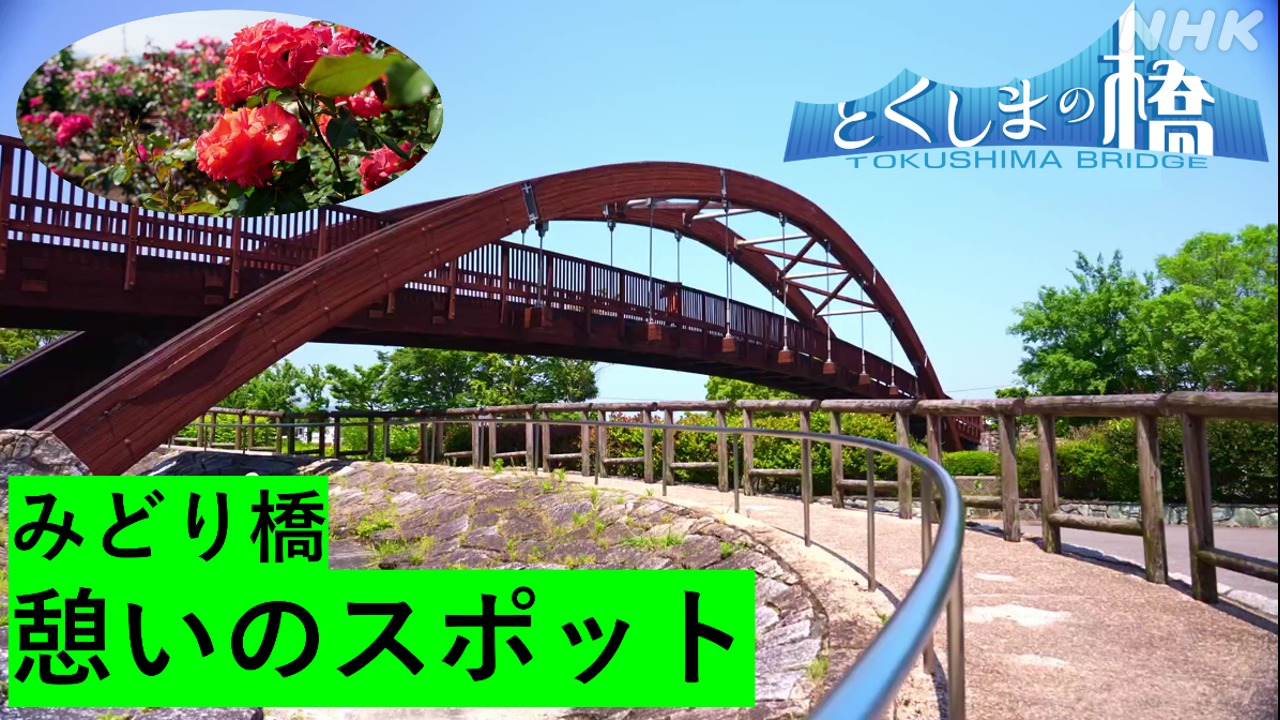 みどり橋 徳島・藍住町 西日本で最大級の木橋【とくしまの橋】