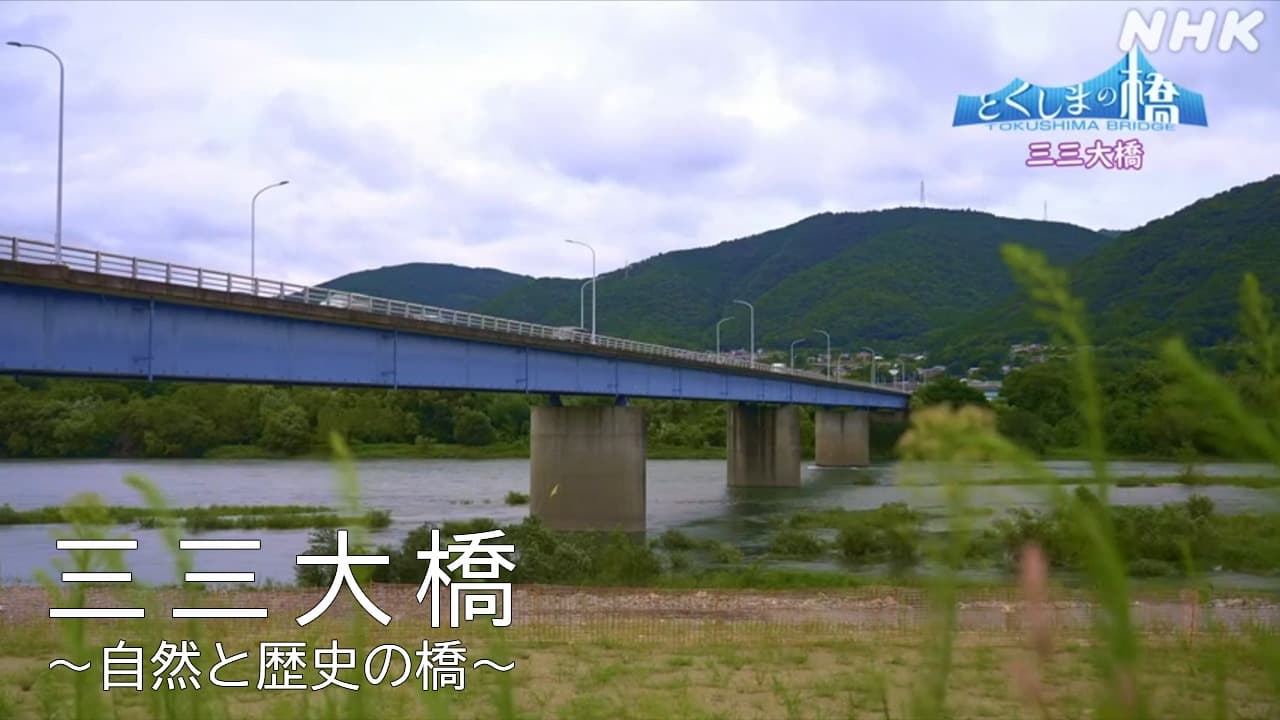 三三大橋　徳島・東みよし町　遺跡と自然の橋【とくしまの橋】