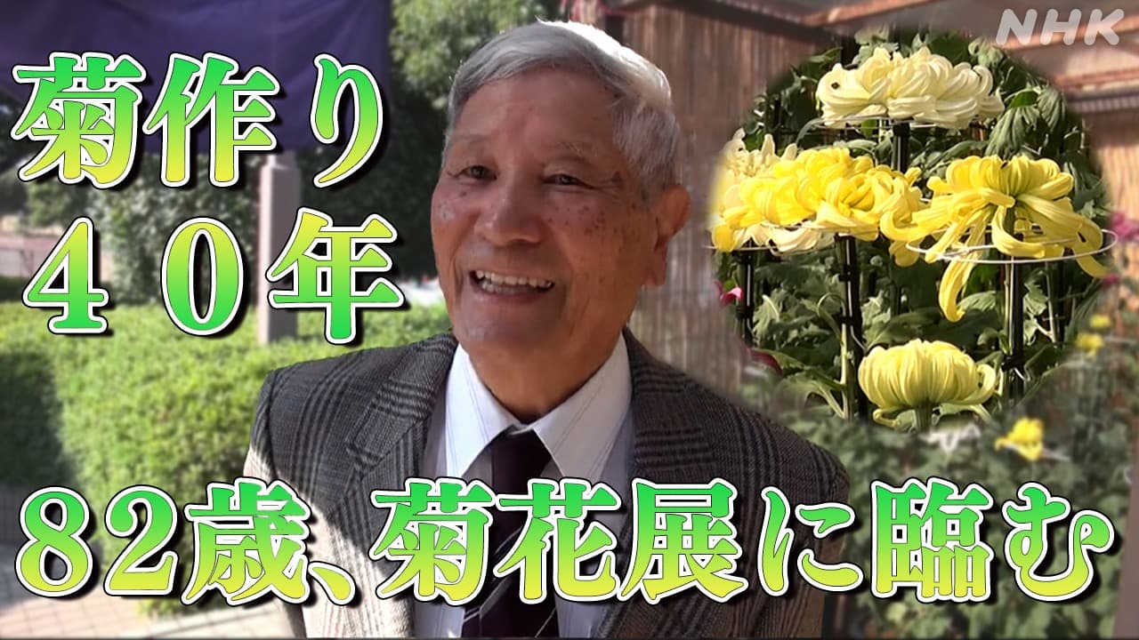 徳島 吉野川市 「寝ても覚めても菊」82歳の男性 菊花展に臨む