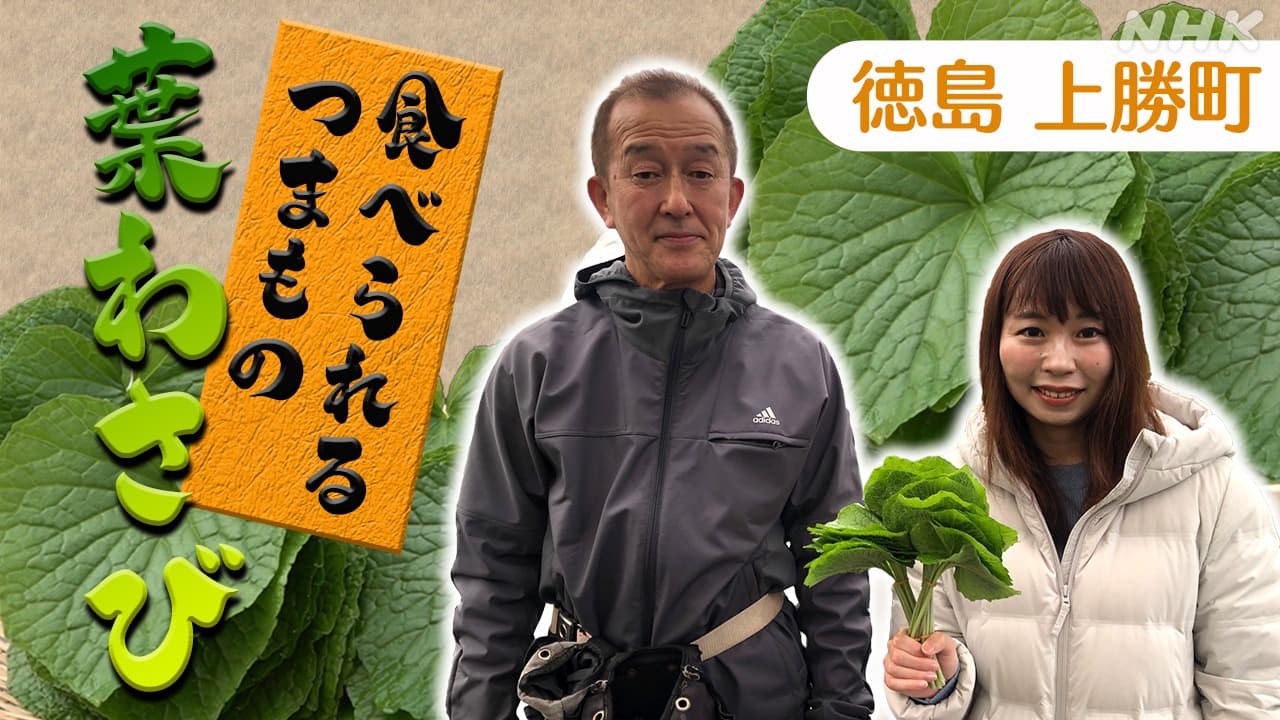 徳島 上勝町特産　食べられるつまもの　葉わさびのうまさの秘密！