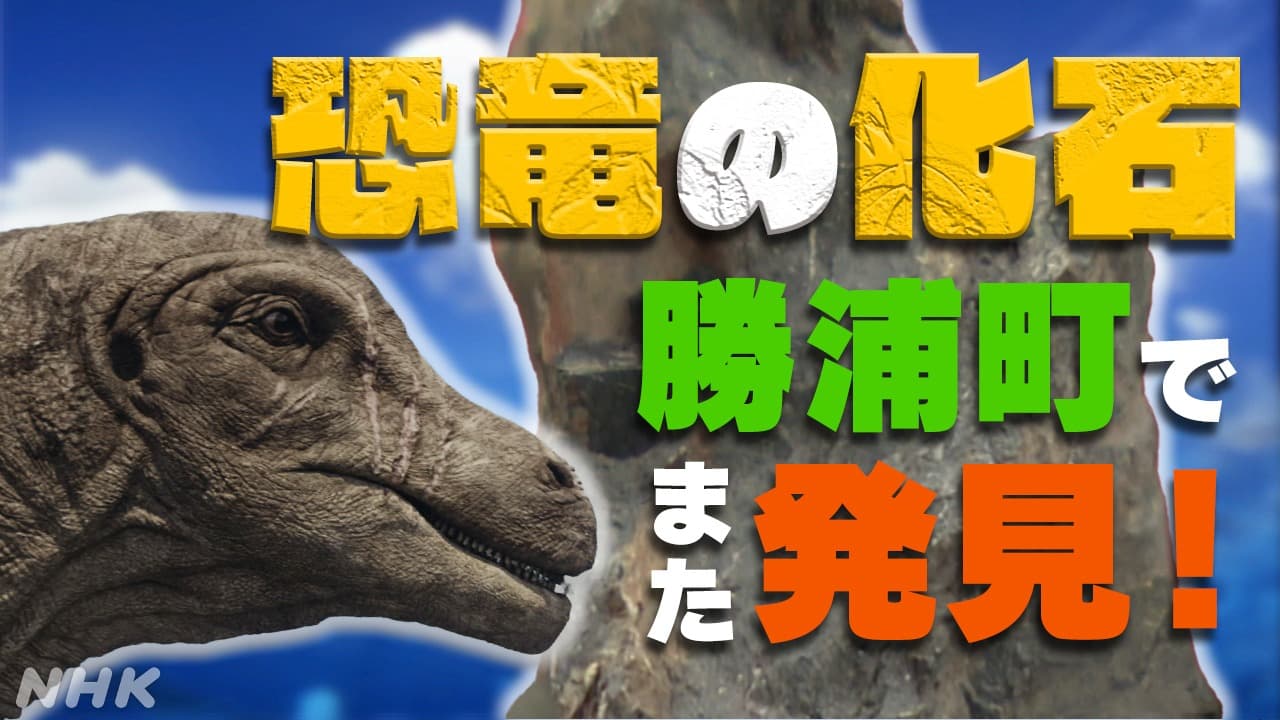 徳島・勝浦町 新種か？恐竜の歯の化石発見