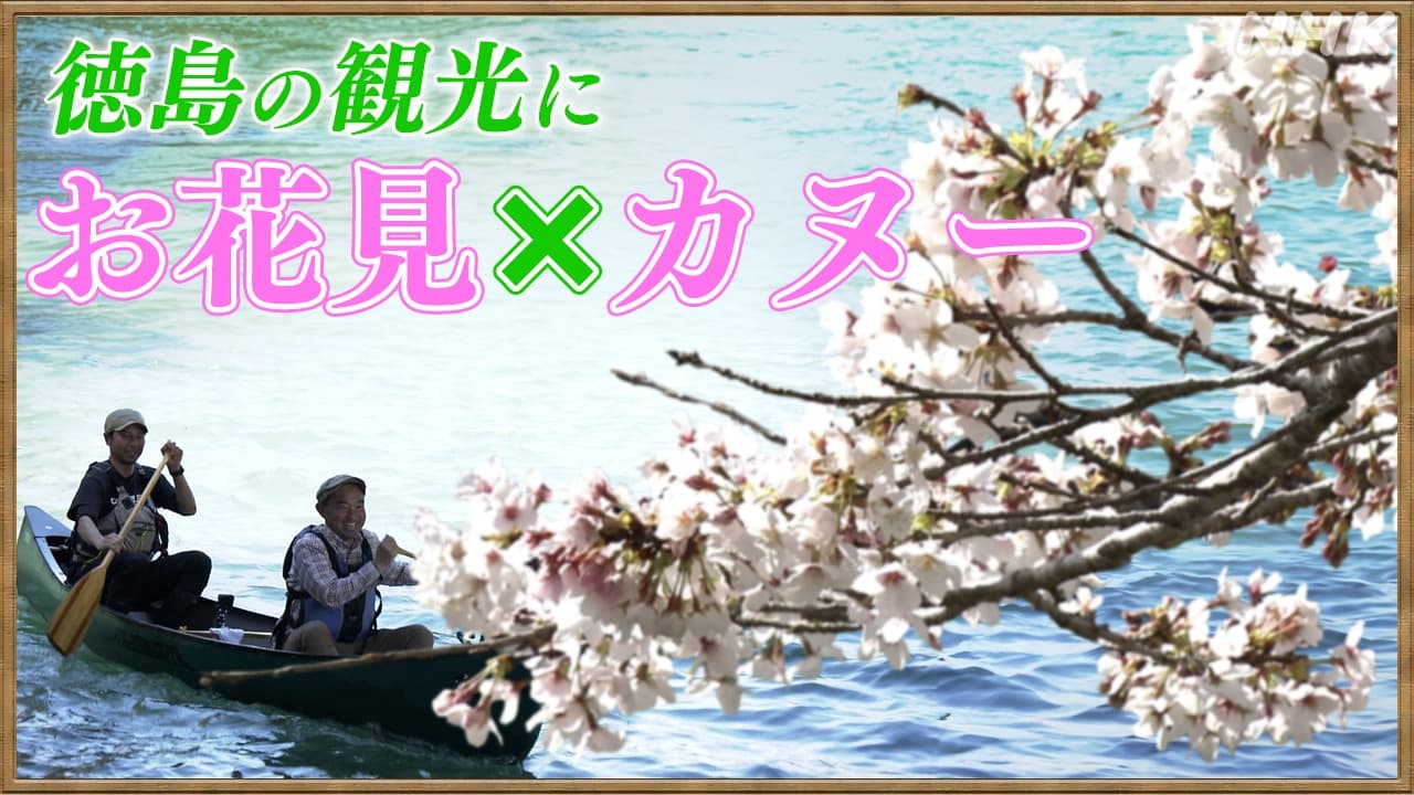 週末のお出かけに！徳島県那賀町で 『お花見カヌー』を体験！