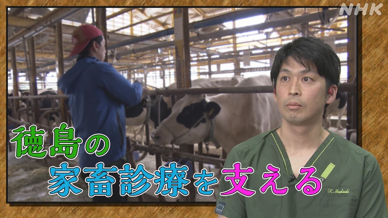 徳島の家畜診療を支えたい　診療所を開業　若手獣医師の思い