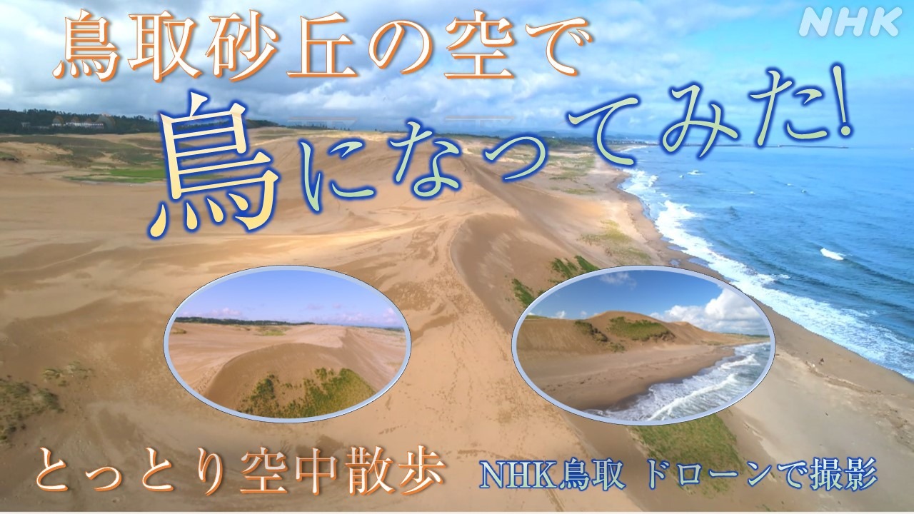 鳥取砂丘ドローン動画！NHK鳥取が贈る海と空と砂のパノラマ