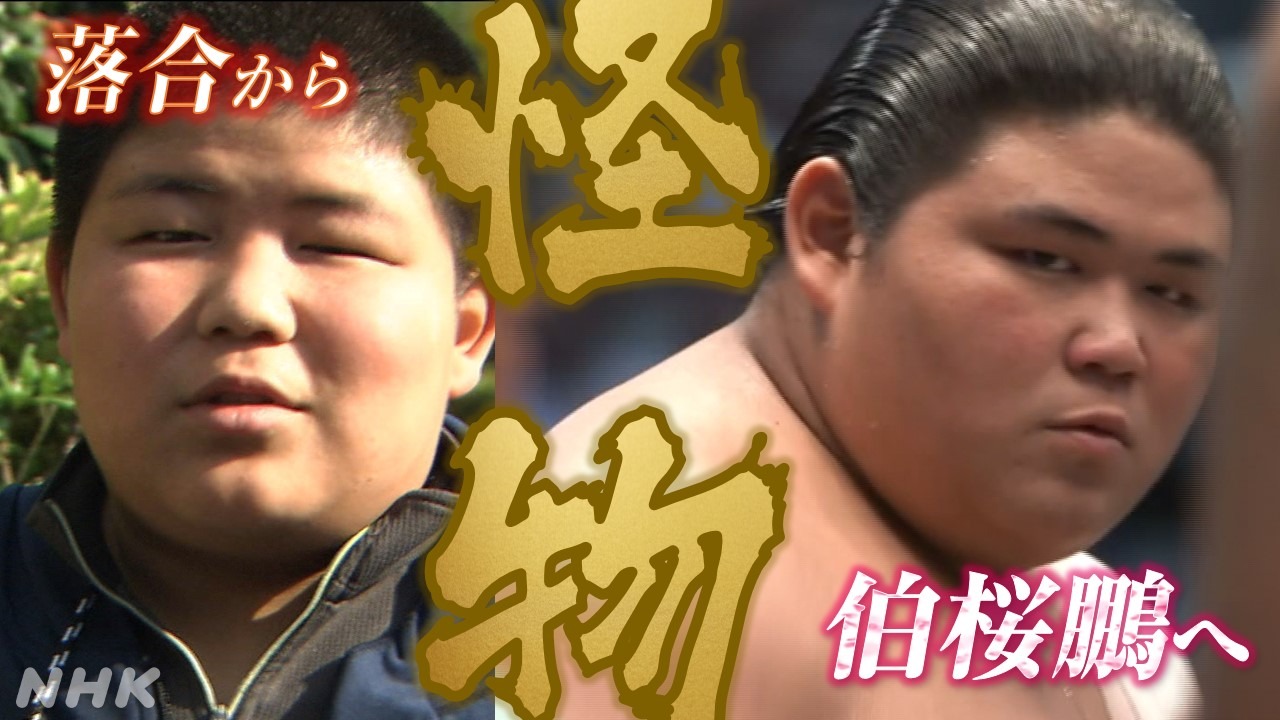 鳥取県出身 大相撲秋場所で番付を上げた伯桜鵬の強さに迫る