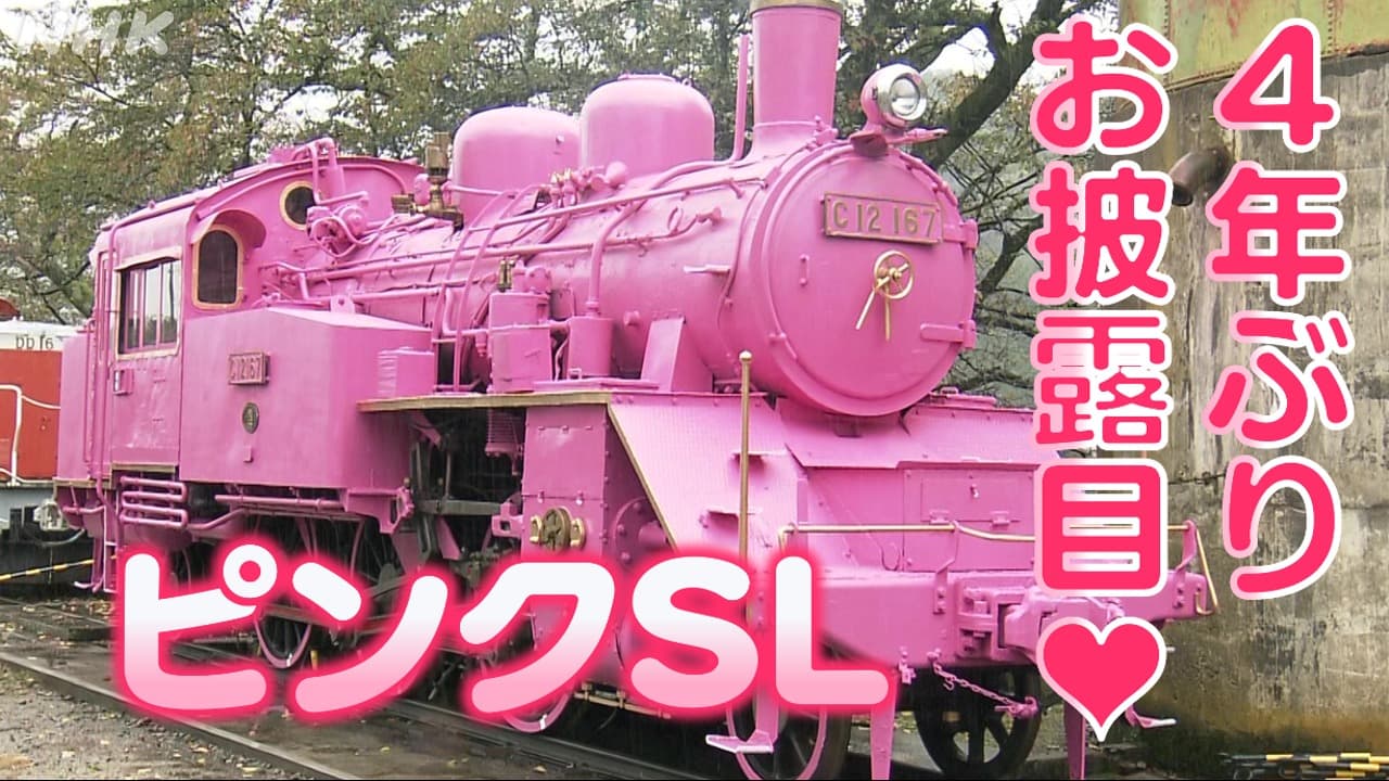ピンクSLが４年ぶりにお披露目（鳥取・若桜鉄道）