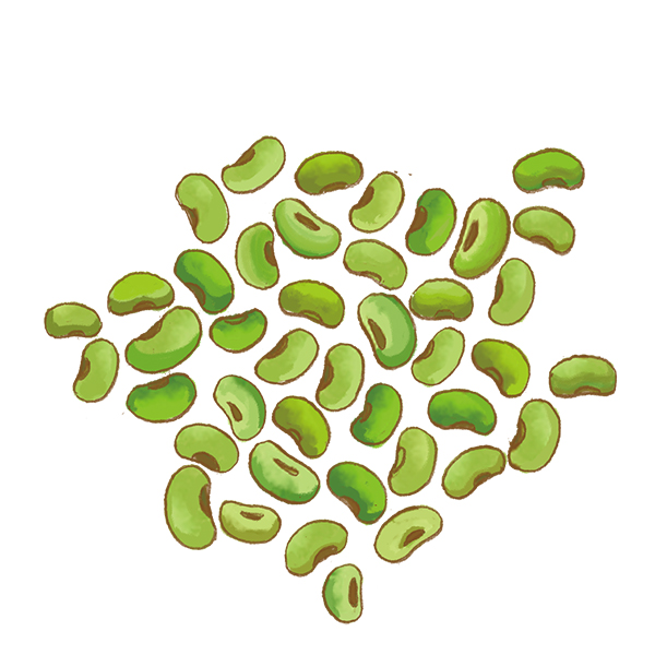 Soybeans | 福島特産物