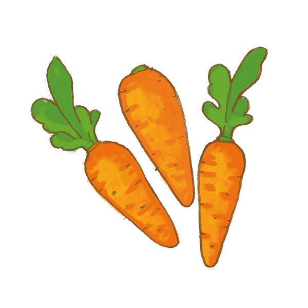 Carrots | 福島特産物