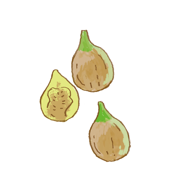 Figs | 福島特産物
