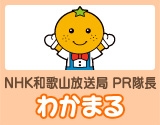 NHK和歌山放送局 PR隊長 わかまるのサムネイル画像